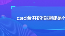 cadϲĿIʲô