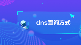 dnsԃʽ