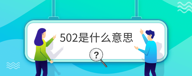 502ʲô˼