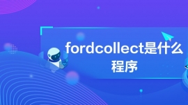 fordcollectʲô