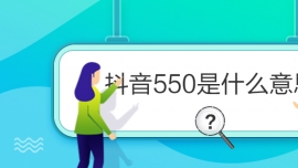 550ʲô˼