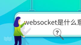 websocketʲô˼