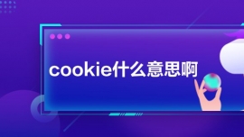 cookieʲô˼