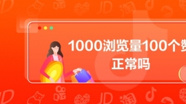 1000g[100ٝ